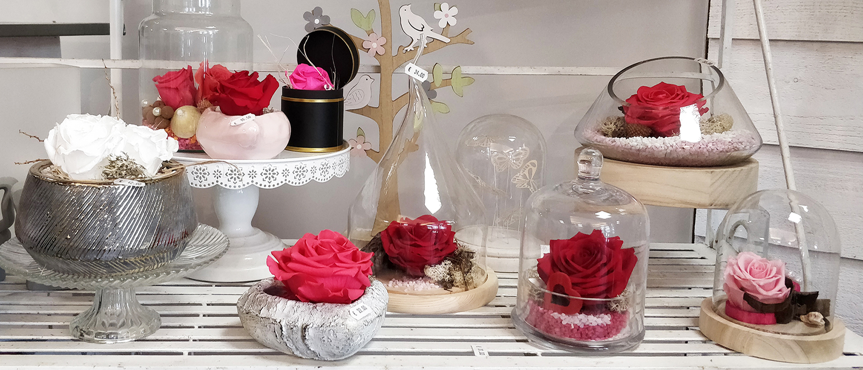 Roses éternelles