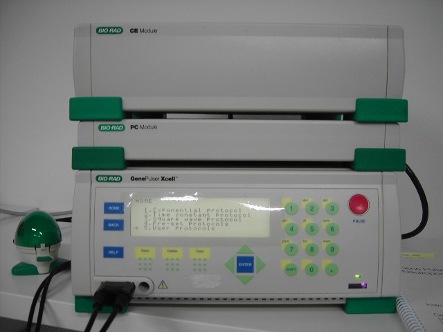 Electroporator - Biovendis