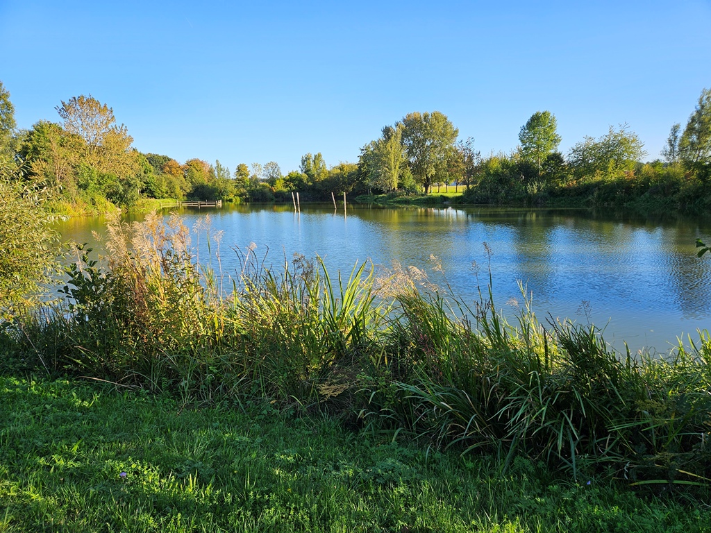 Der Rinderfelder See ist nicht nur Badesee, sondern auch ein wichtiges Feuchtgebiet.