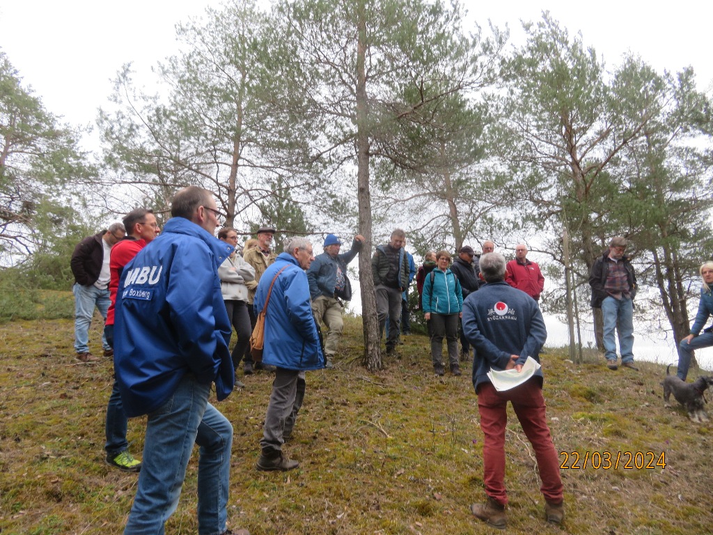 ... 350 Pflanzenarten und 680 Tierarten wurden bisher im Gebiet festgestellt ...