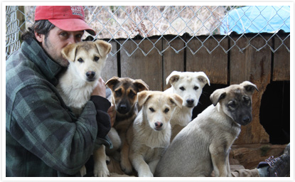 Yannick et les chiens de traîneau de Laurel Aventure Nature