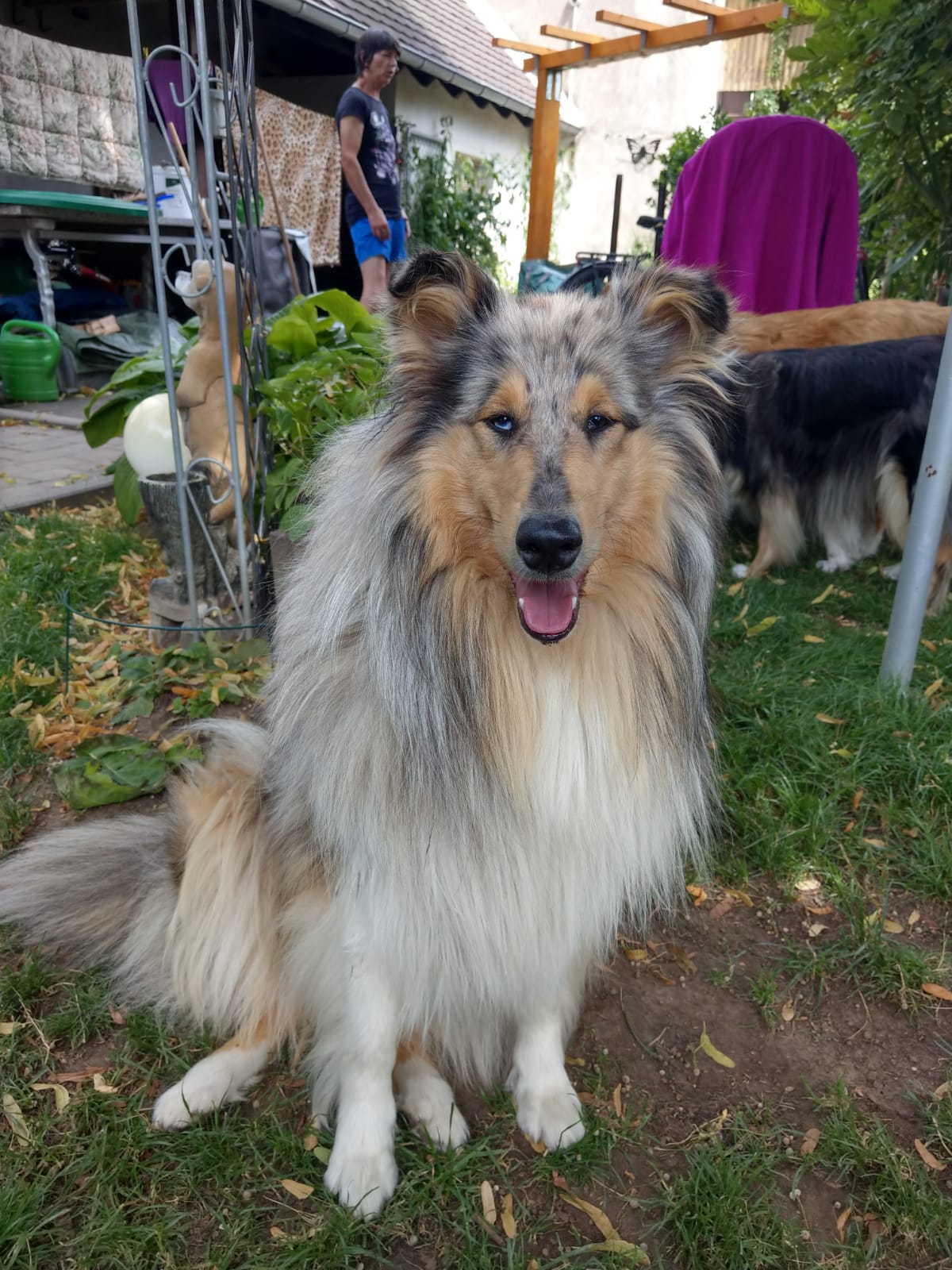 Blue Bell ( Enya ) mit knapp 3 Jahren