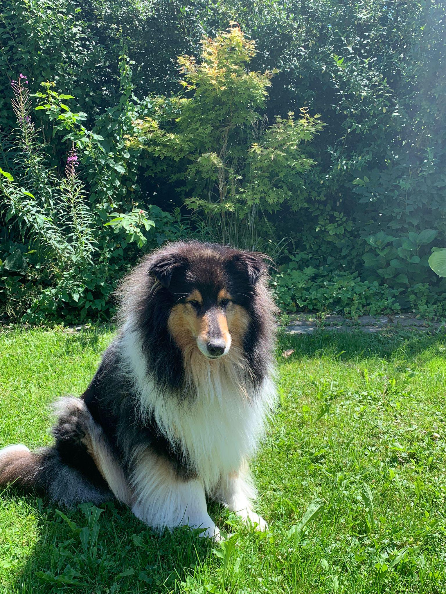 Bonny mit 5 Jahren 