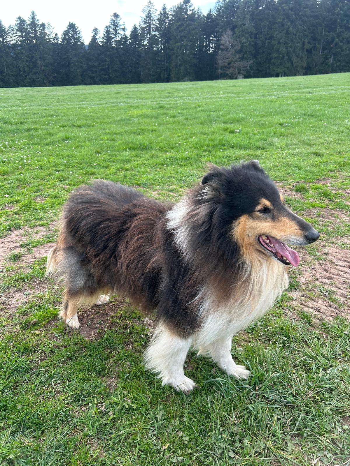 Chilly-Jo mit 7 Jahren 