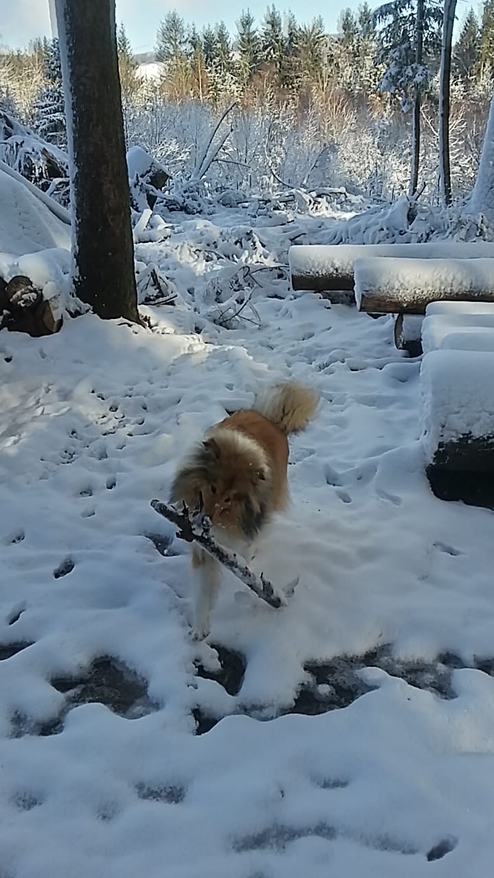 Elsa mit ca. 10 Monaten