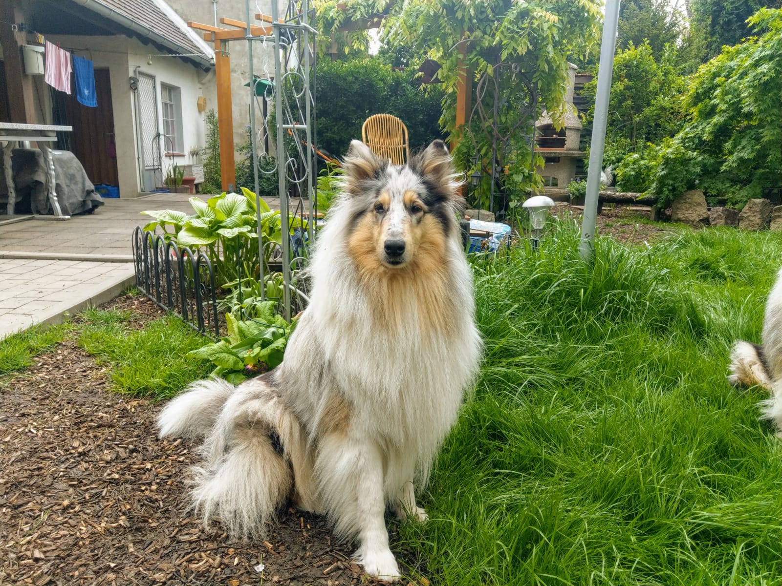 Cindy mit 2 Jahren