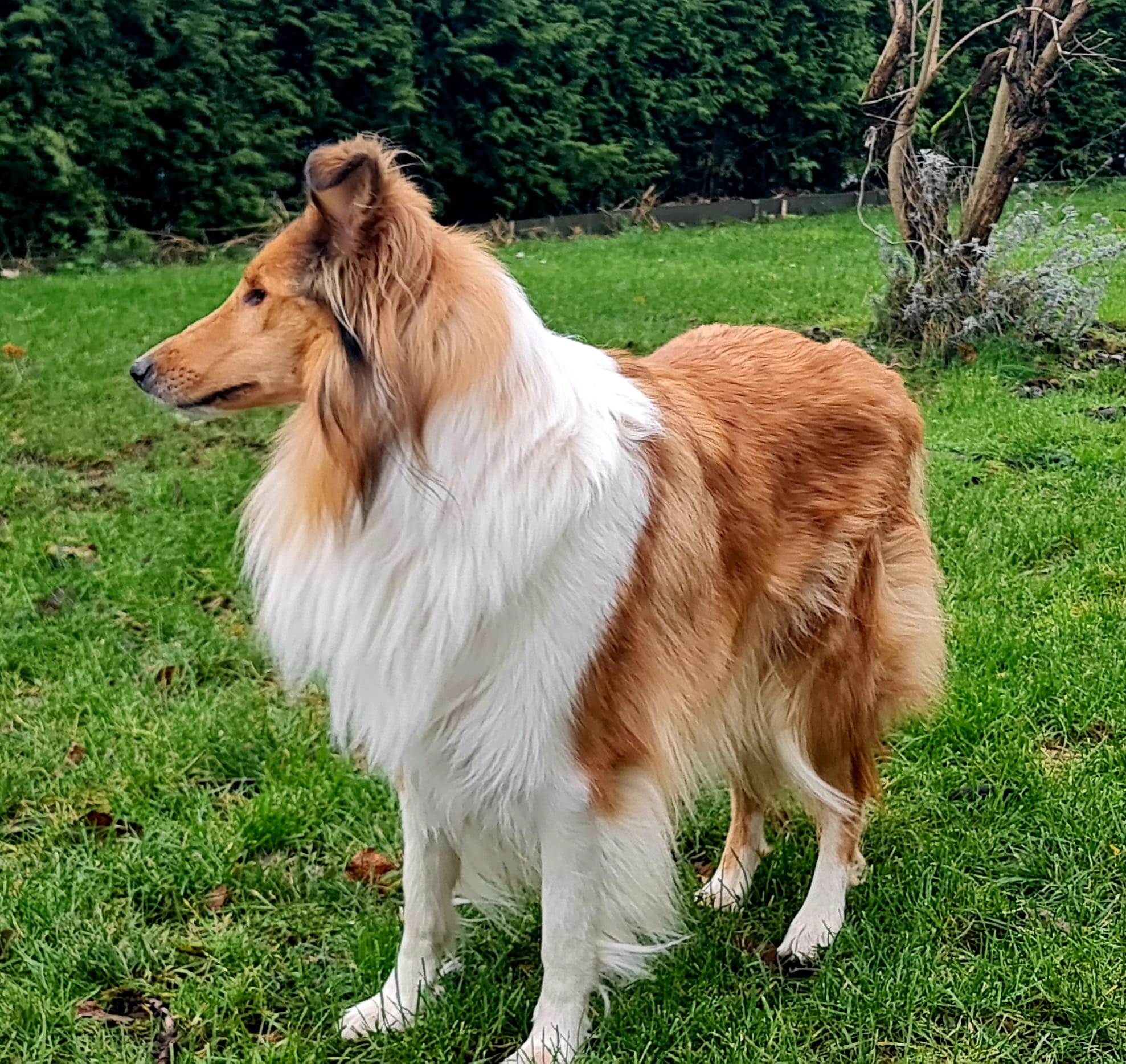 Isa mit 3 Jahren 