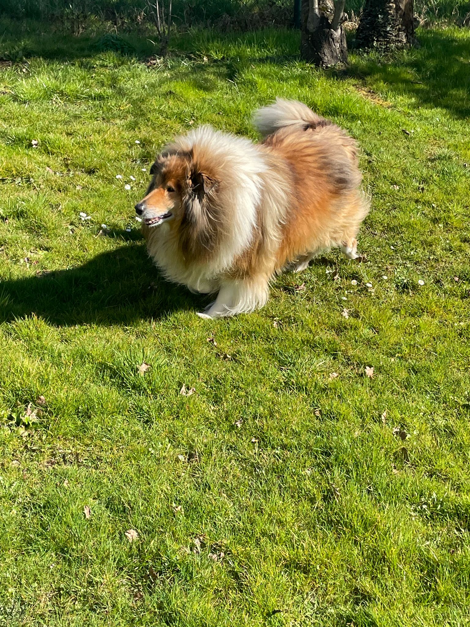 Enzo mit 6 Jahren 