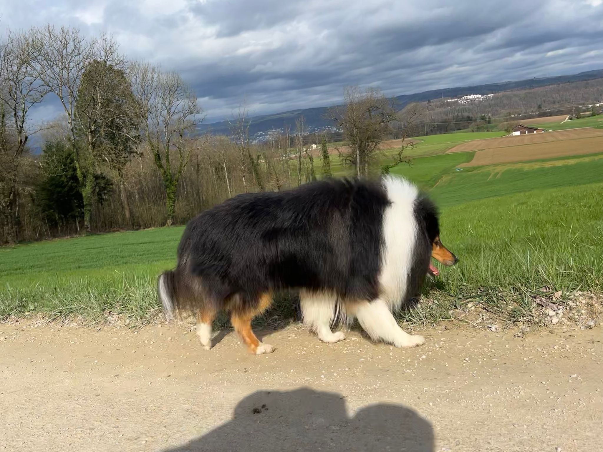 Elliot mit 5 Jahren 