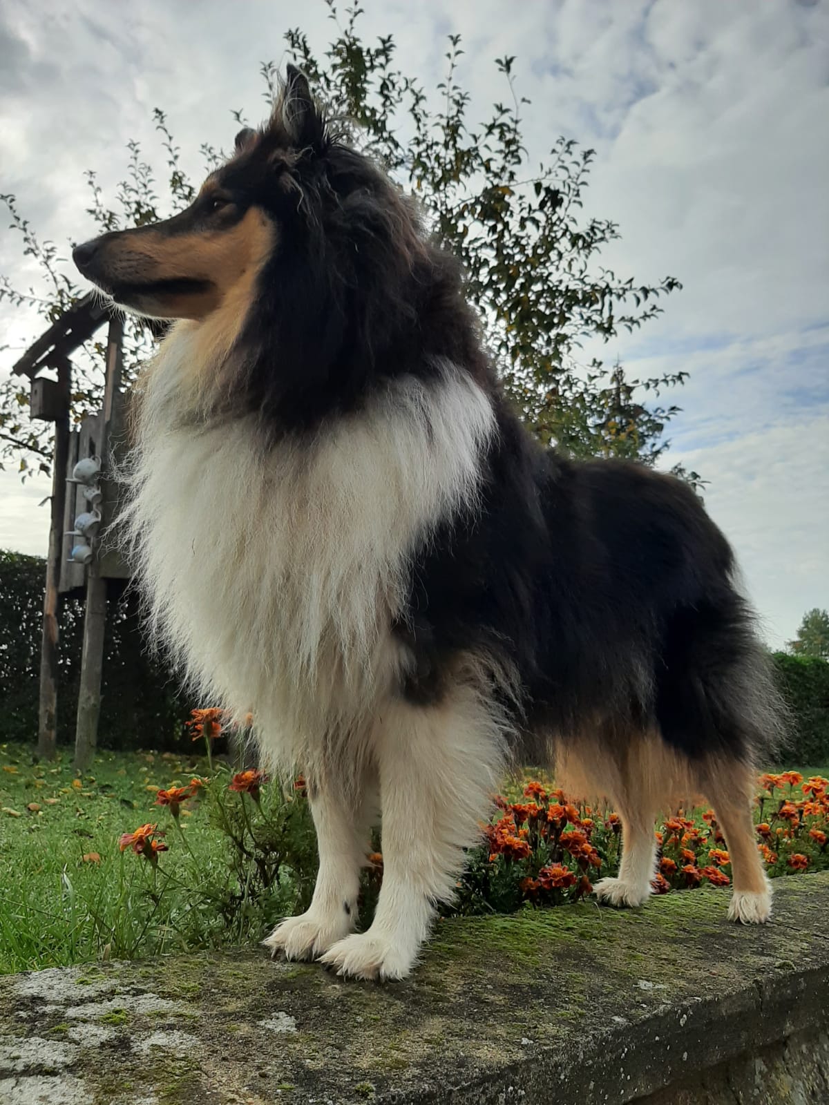 Cora mit 5 Jahren 