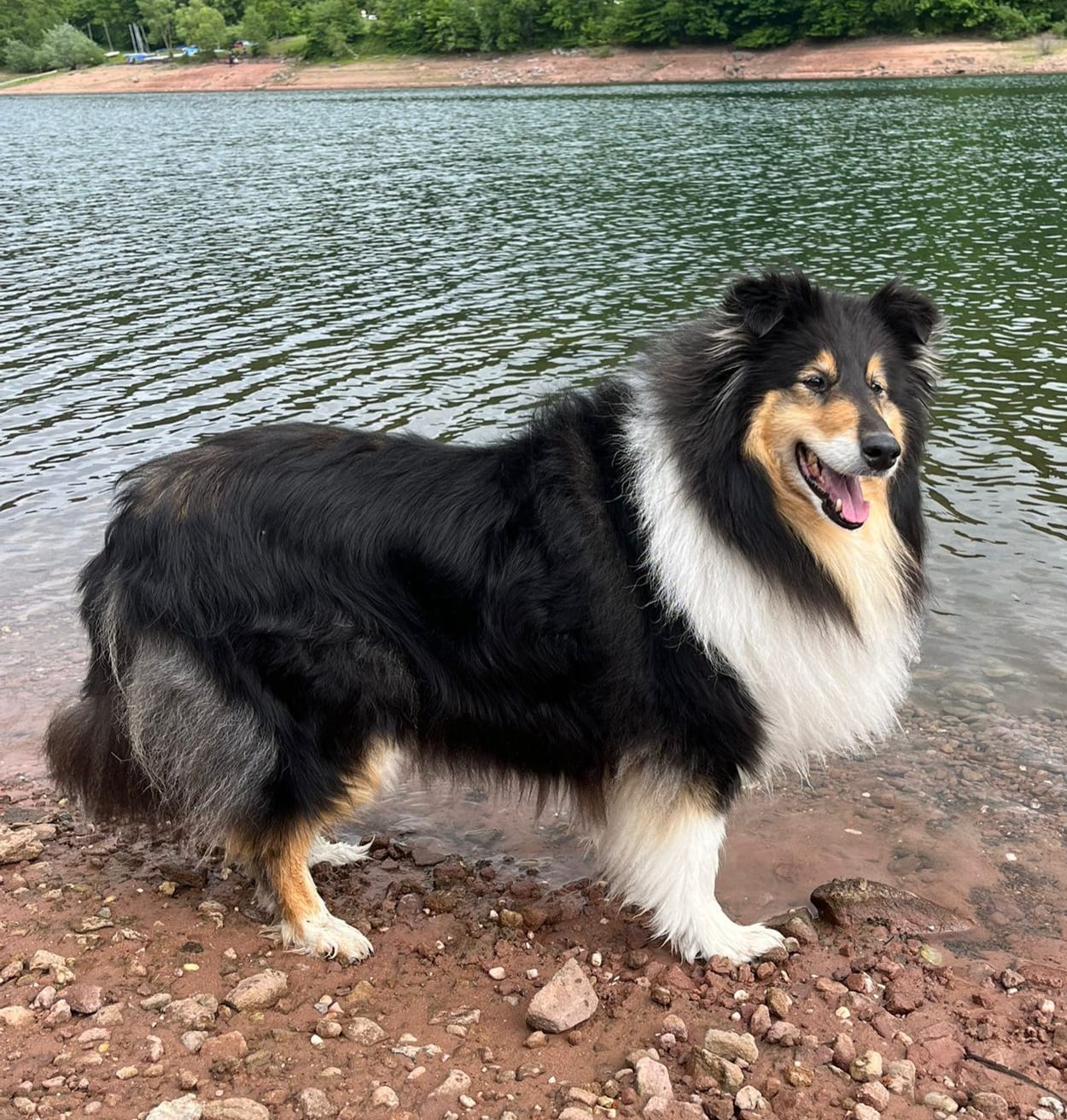 Bea mit 8 Jahren 