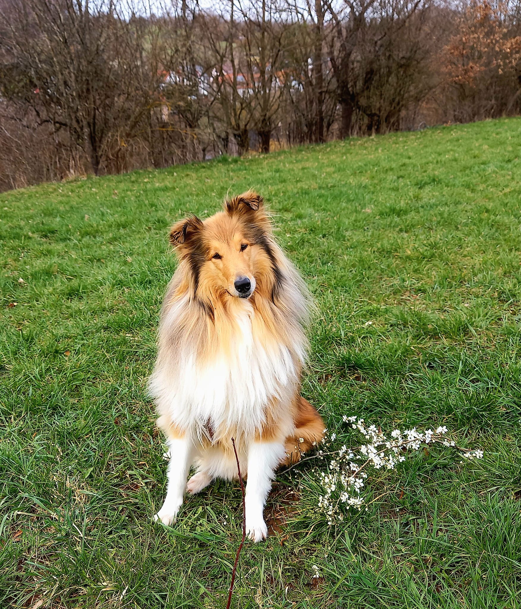 Elena mit 4 Jahren 