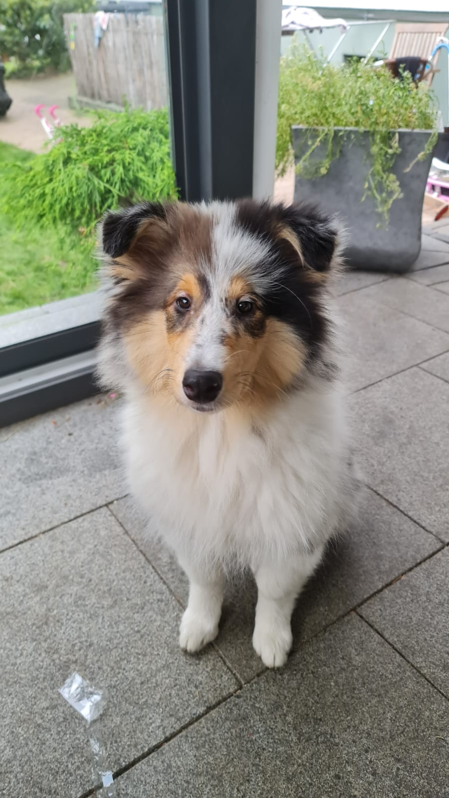 Hanna mit ca. 15 Wochen