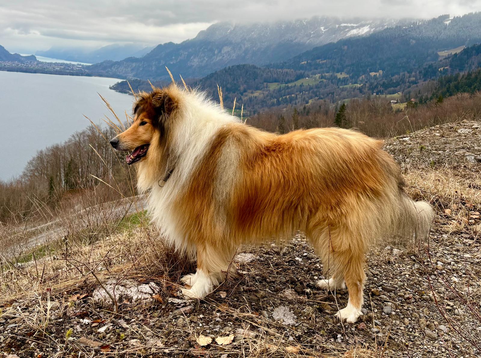 Eddie mit 6 Jahren 