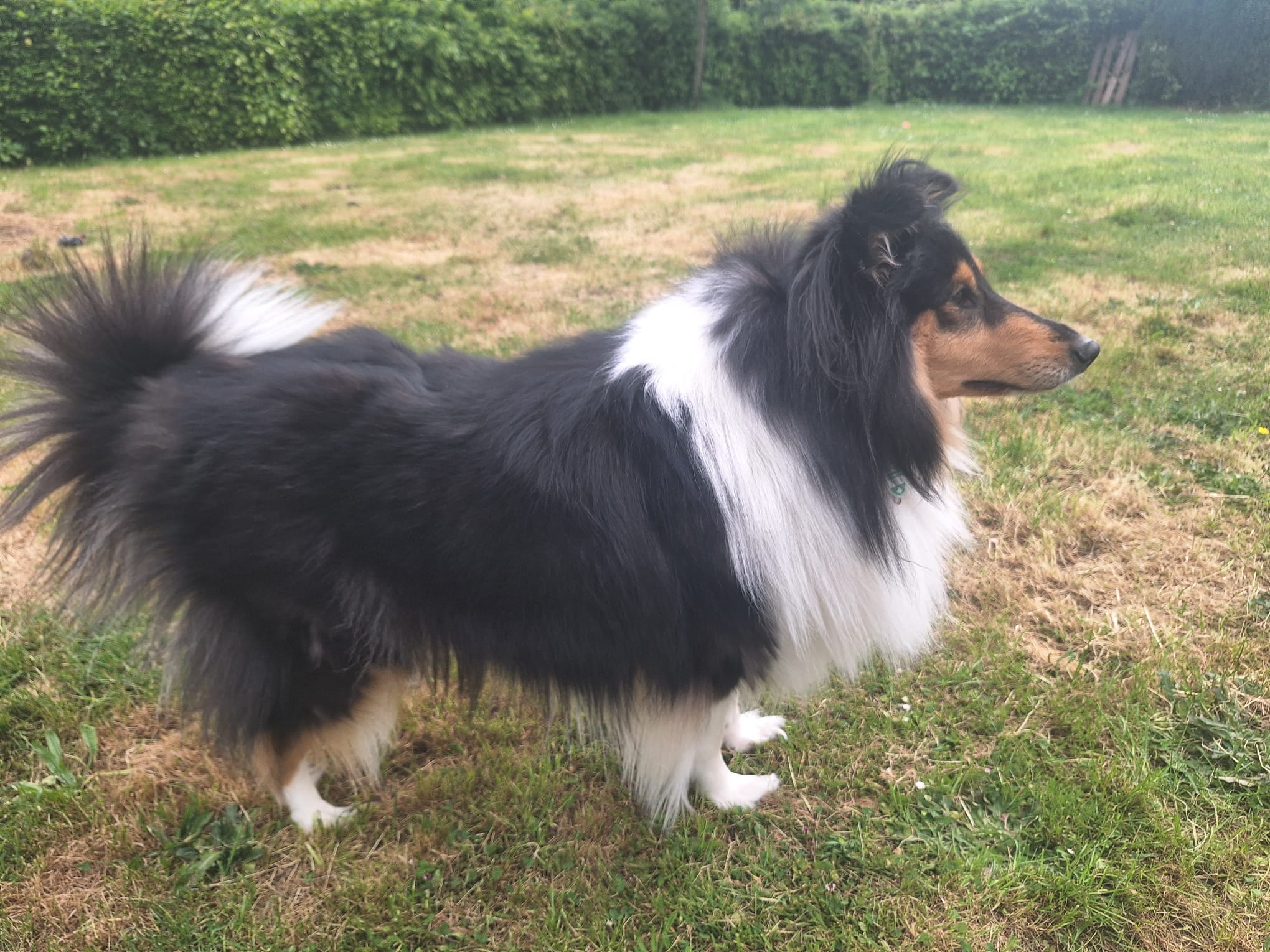 Jeany mit 3 Jahren 