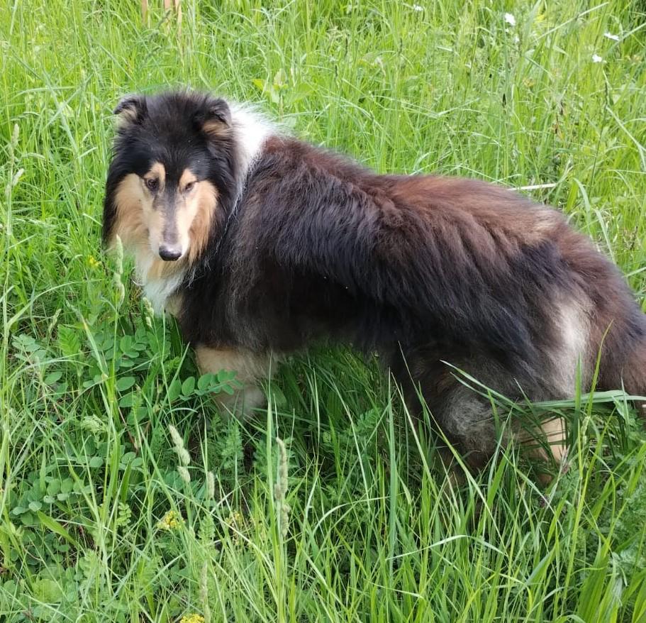 Charly Brown mit 8 Jahren 