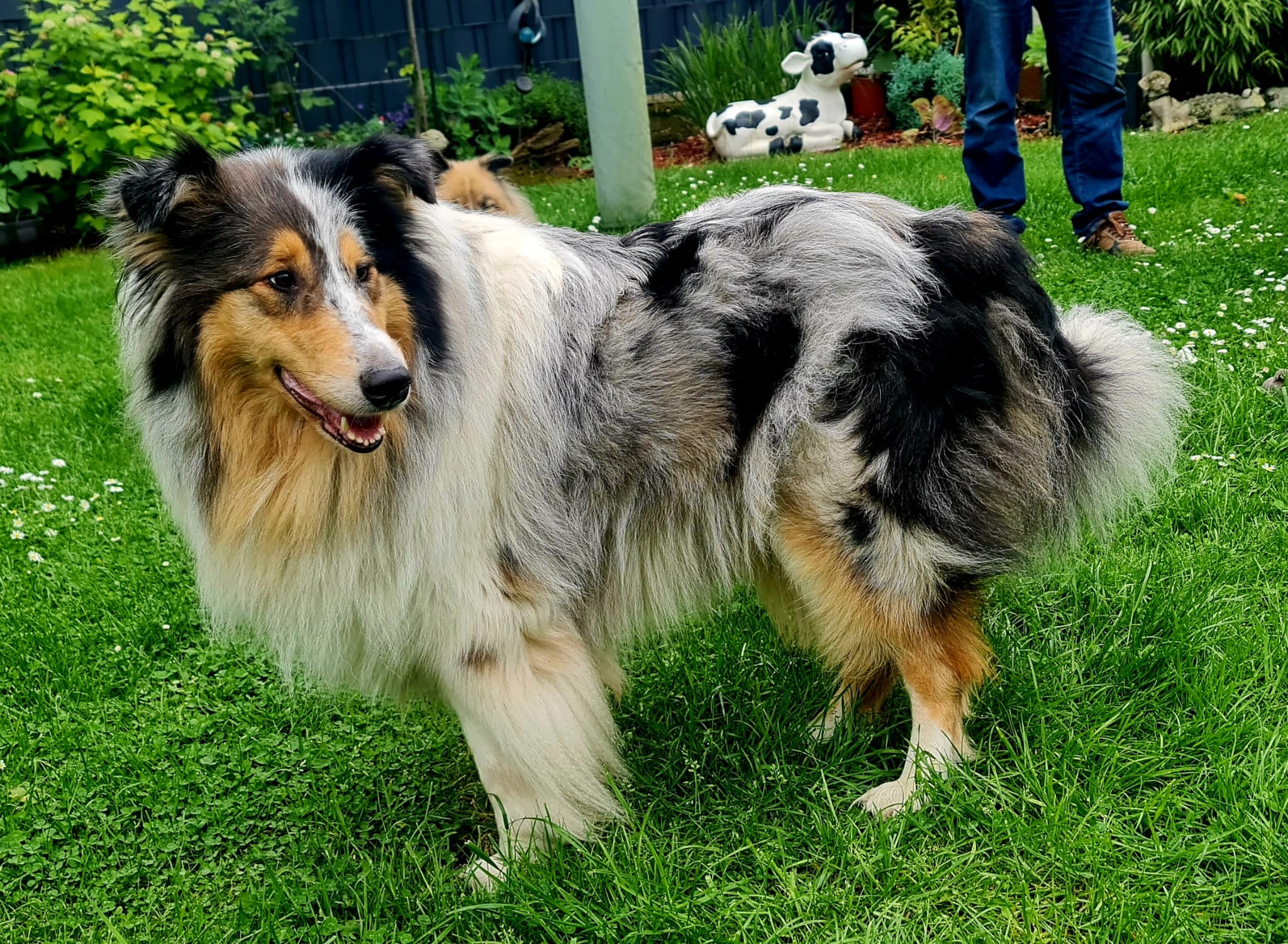 Hanna mit 3 Jahren 