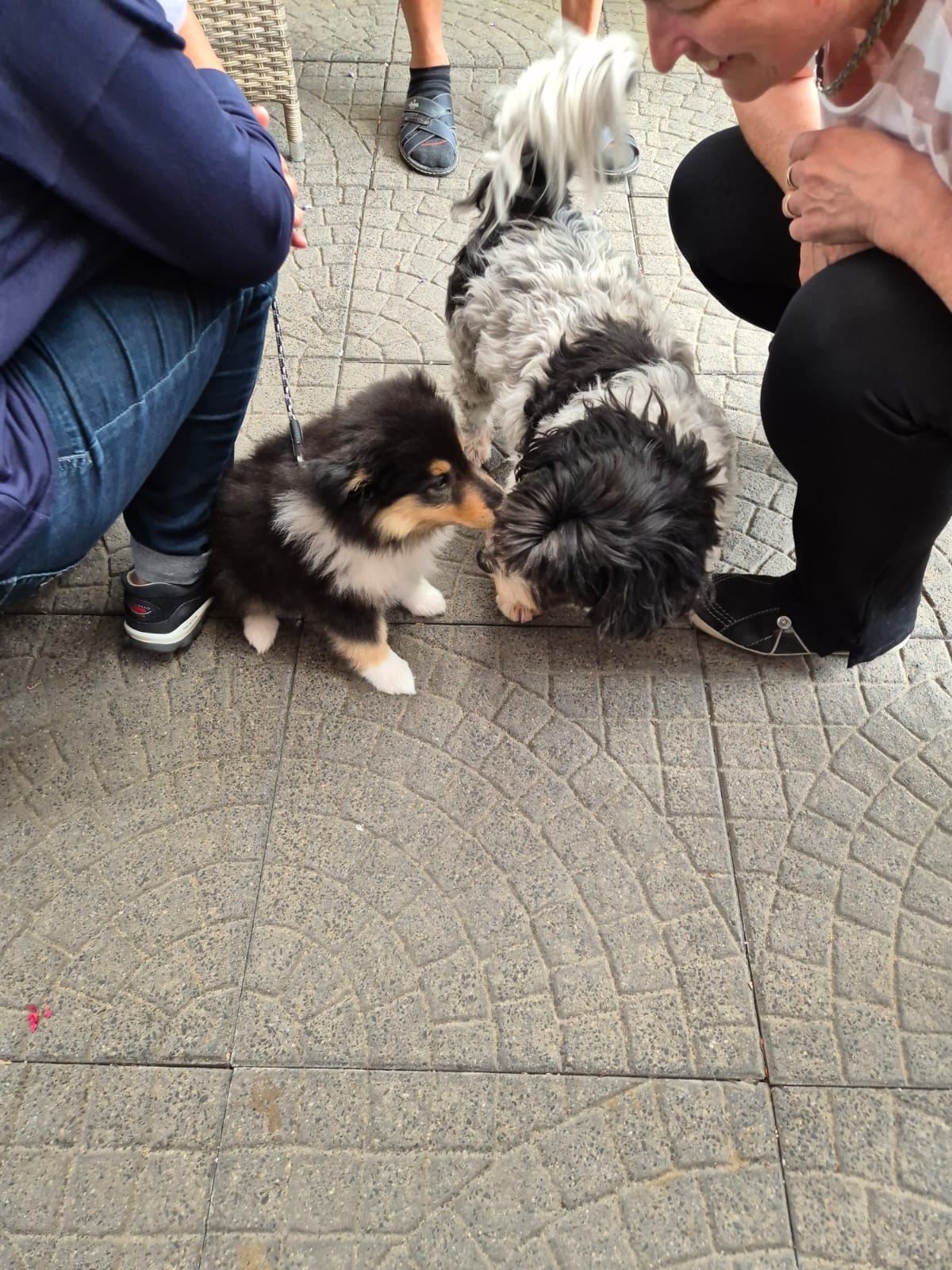 Nelly mit Kumpeline Bonny