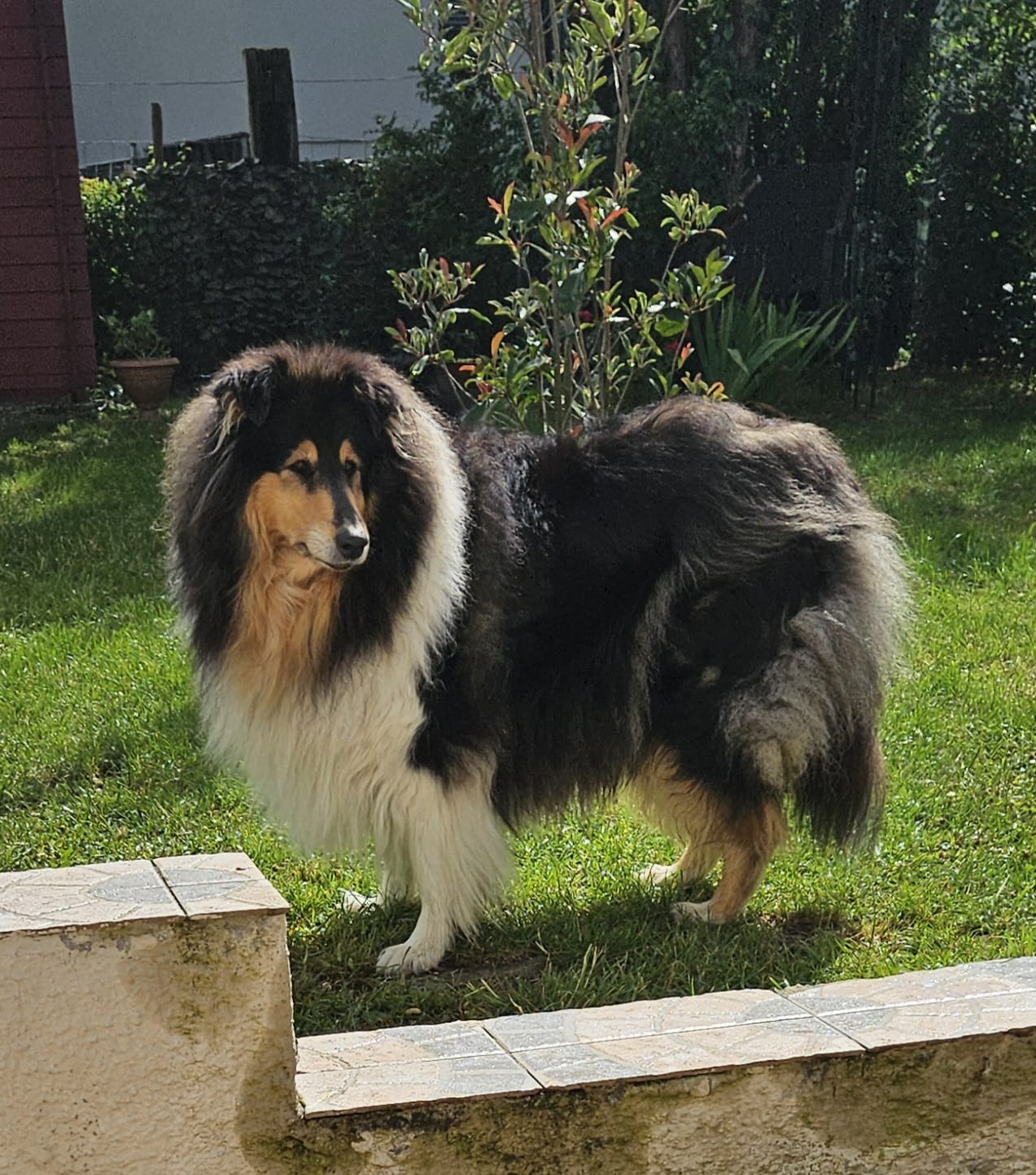 Brenda mit 8 Jahren 
