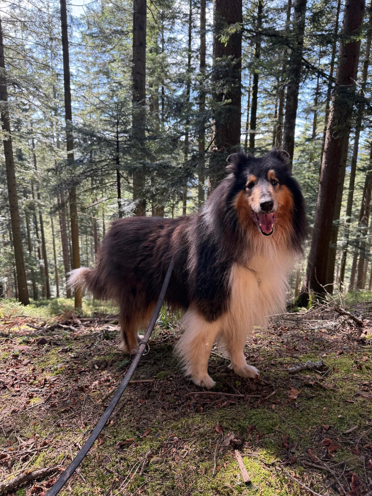 Chilly-Jo mit 8 Jahren 
