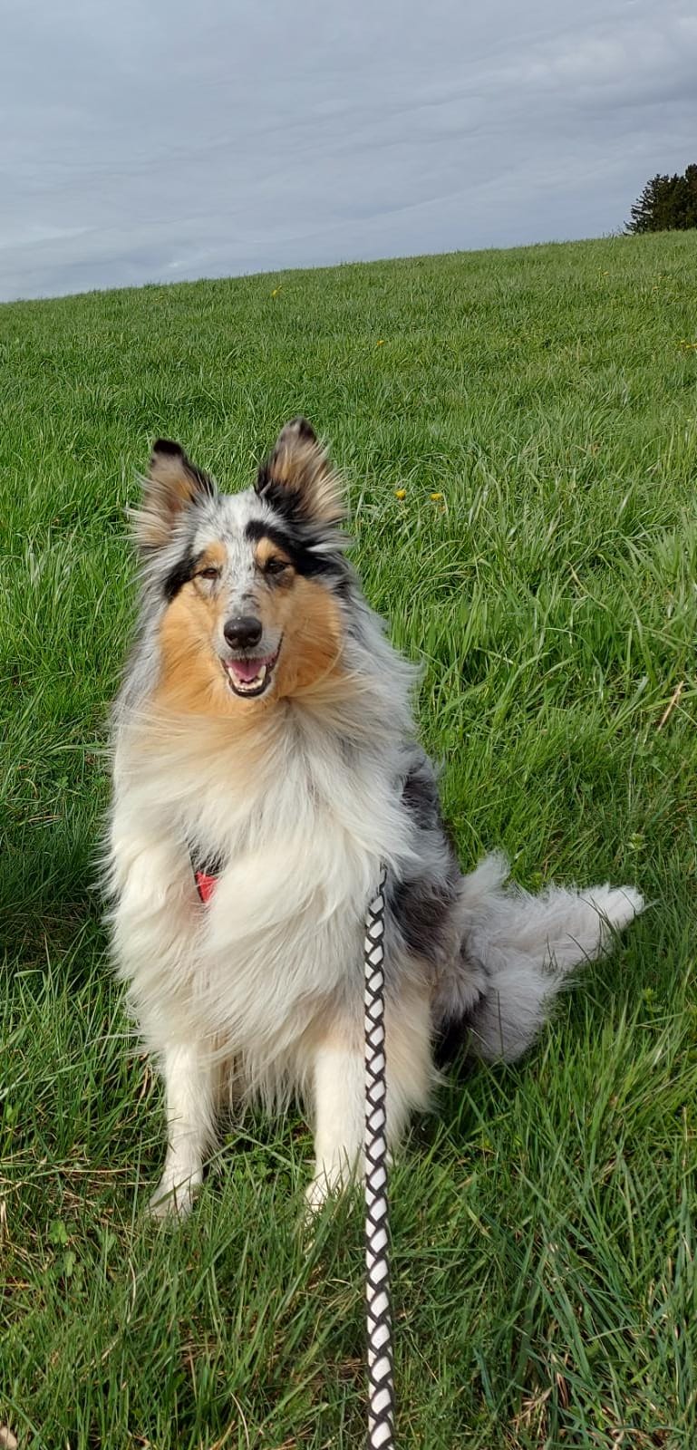 Conny mit 5 Jahren 