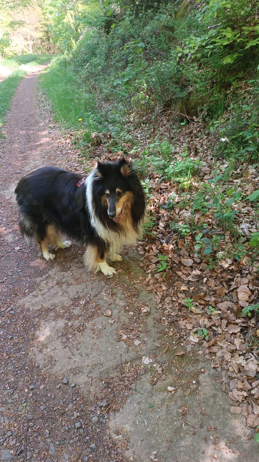 Amelia mit 10 Jahren 