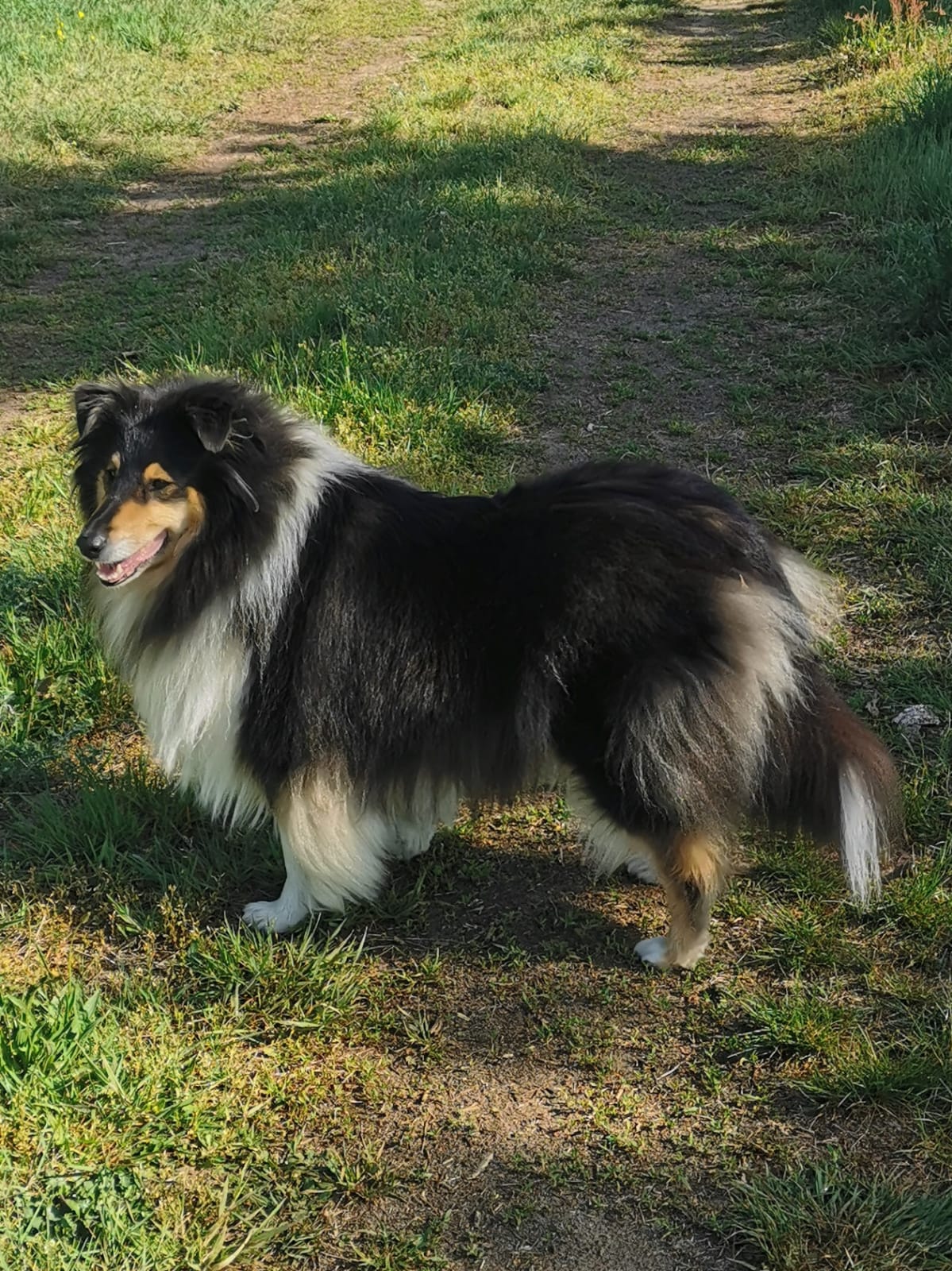 Hope mit 4 Jahren 