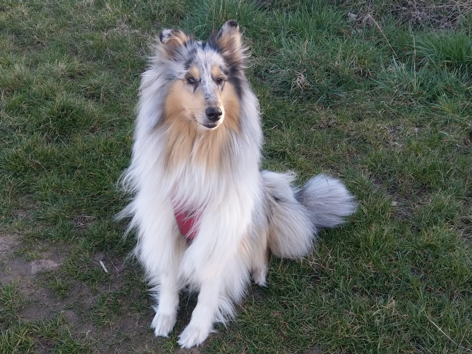 Cindy mit 4 Jahren