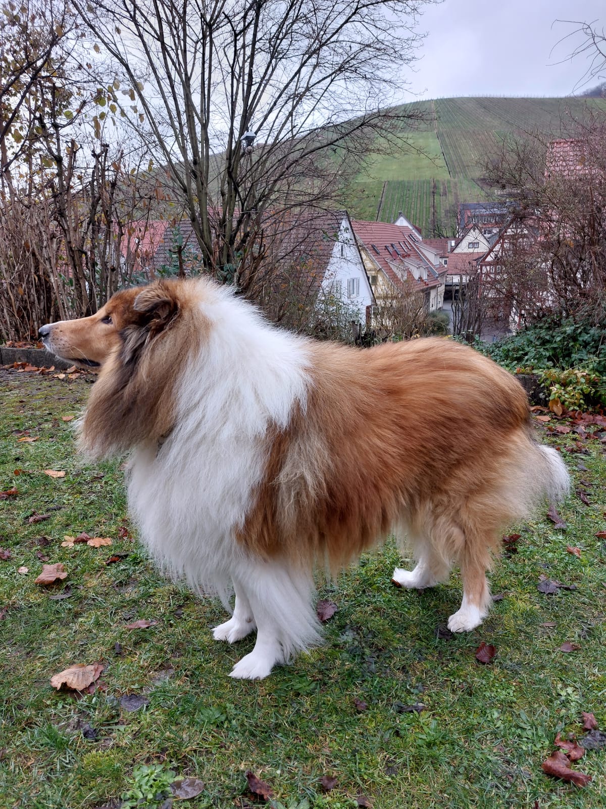 Dean Jensen mit 7 Jahren 