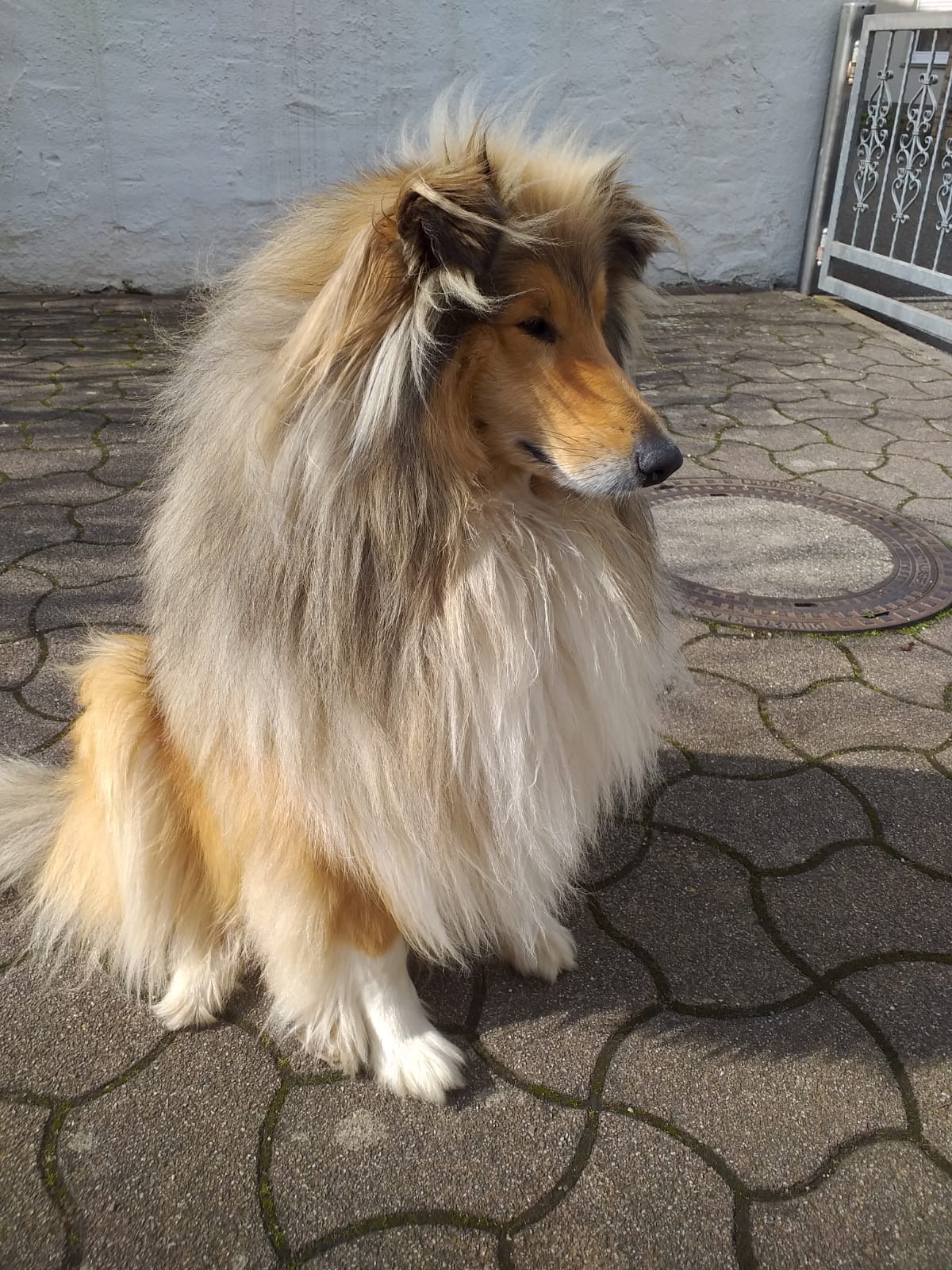 Enzo mit 2 Jahren