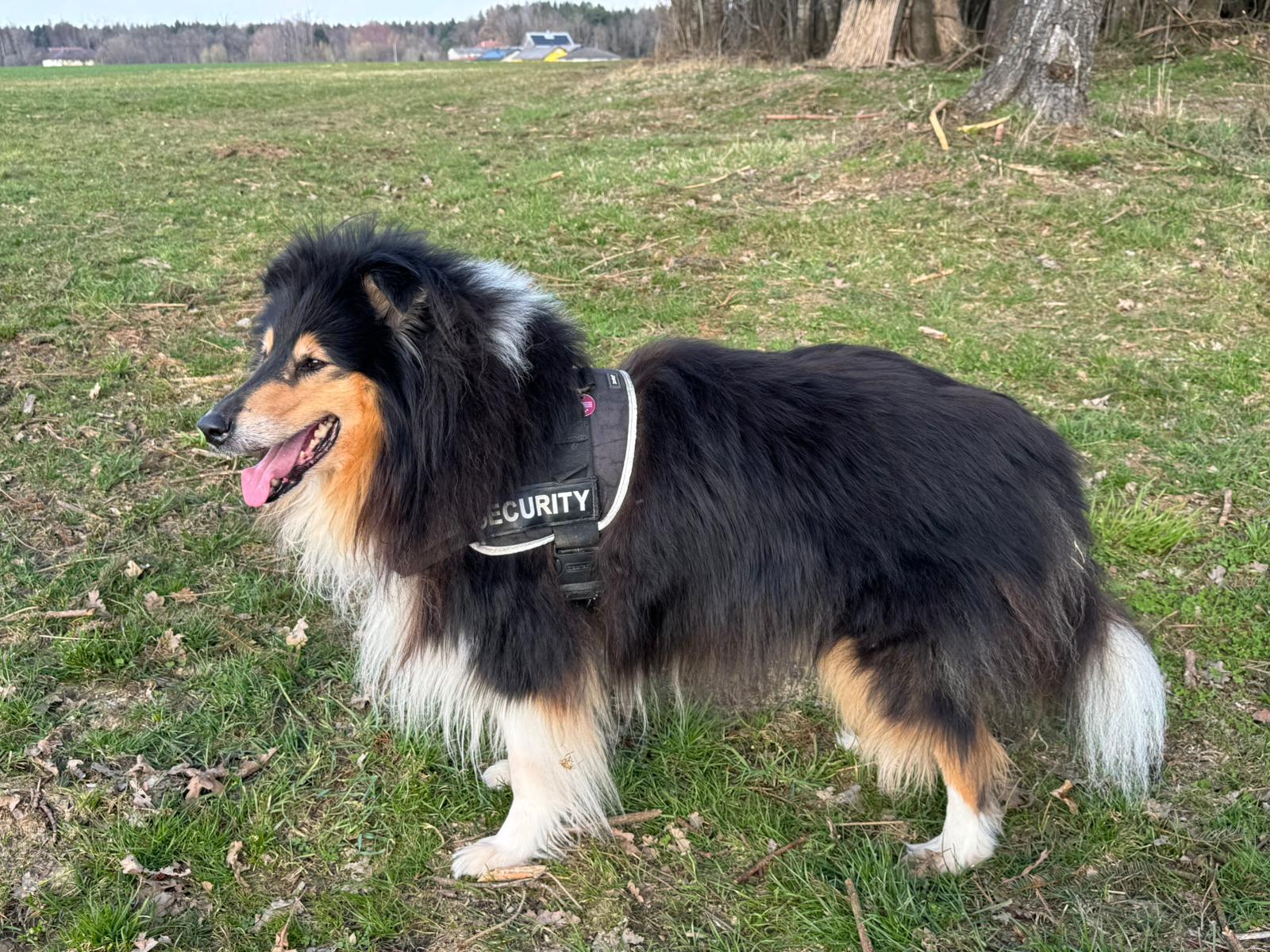 Ernie mit 7 Jahren 