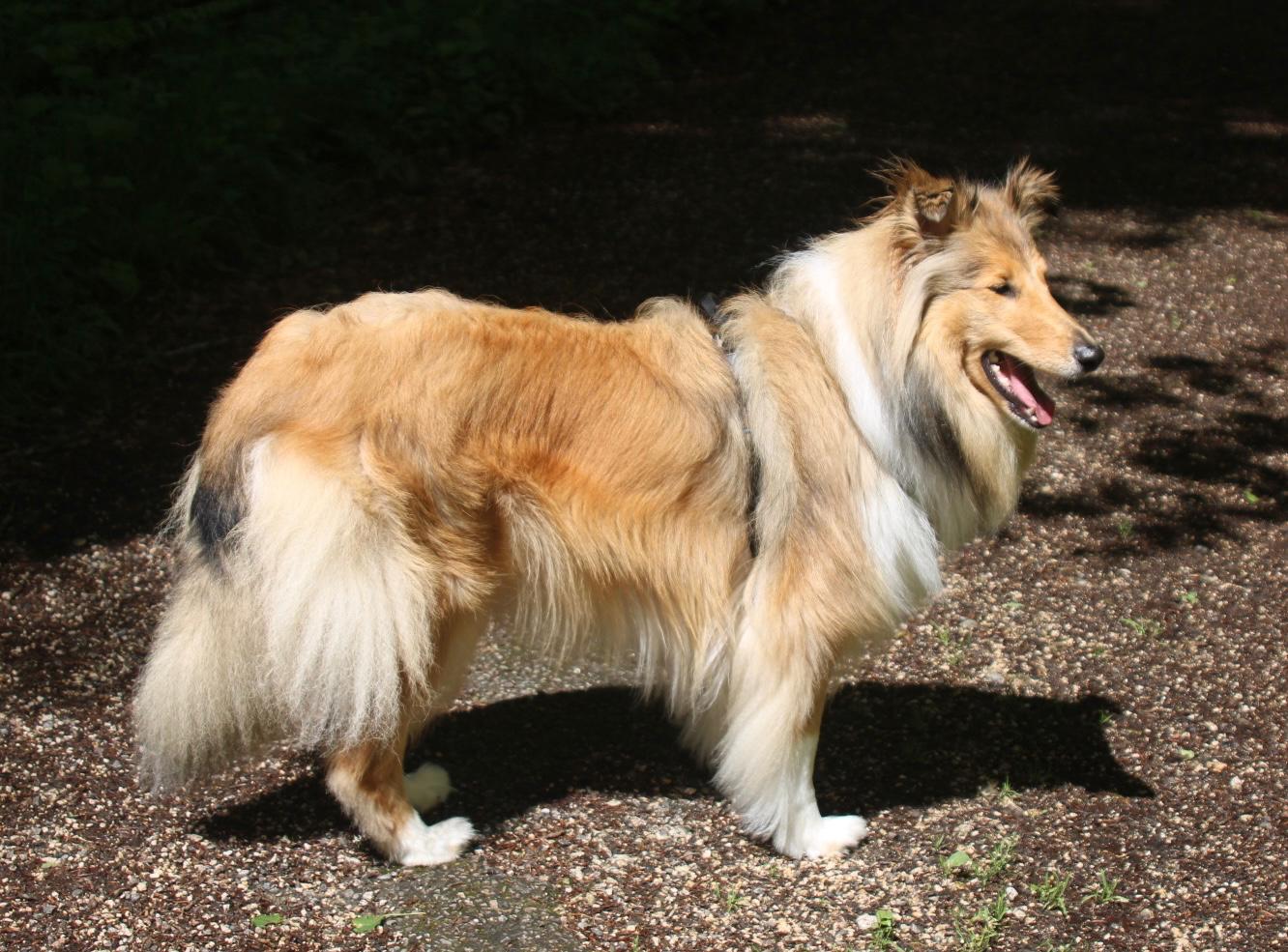 Klara mit 2 Jahren 