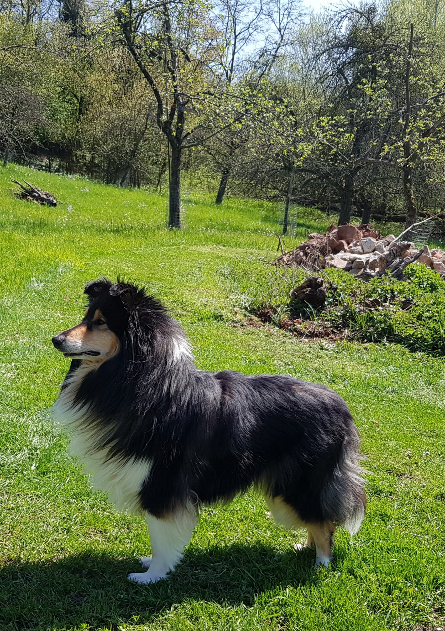 Betty mit 4 Jahren 
