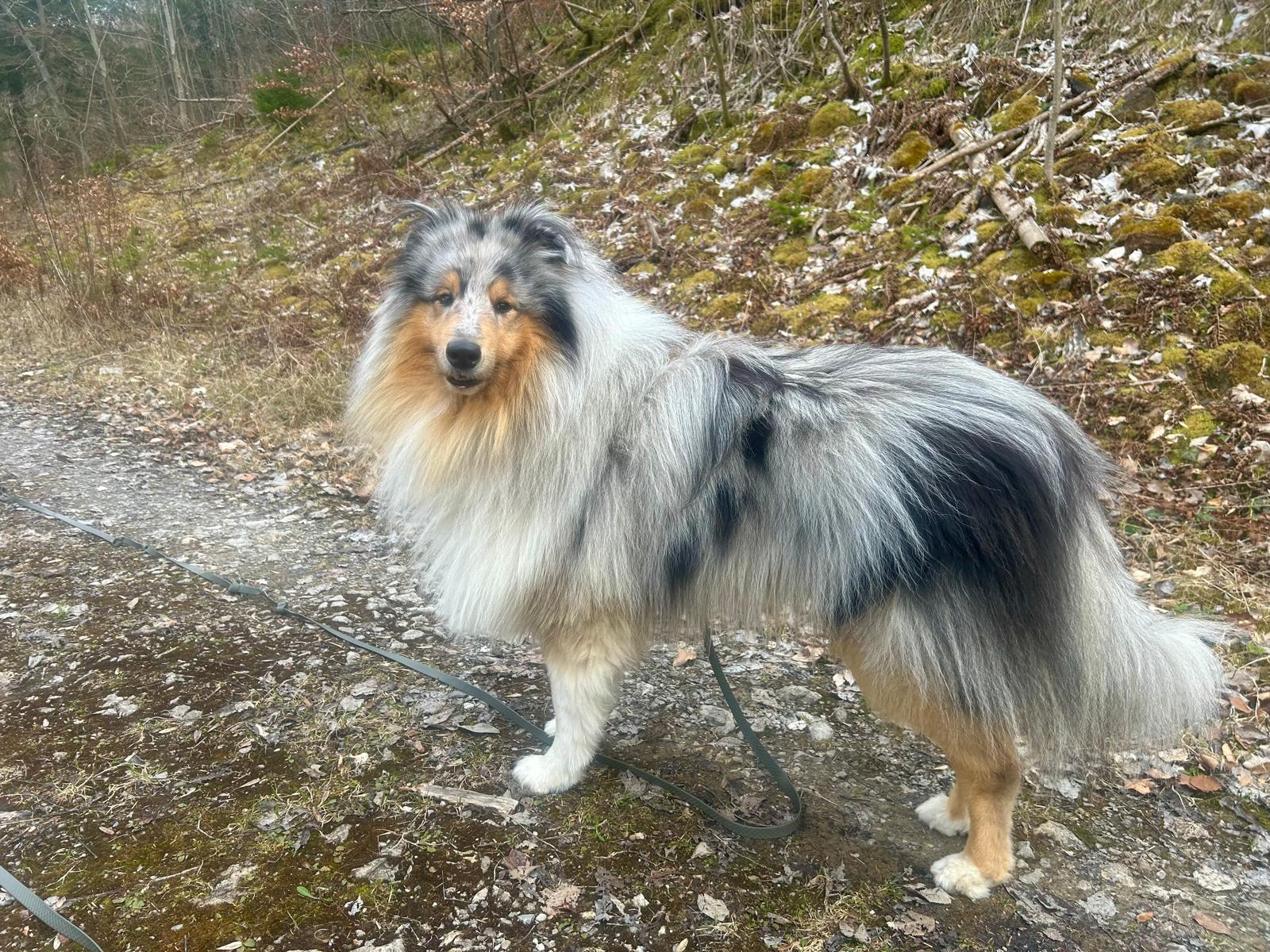 Lynn mit 3 Jahren 