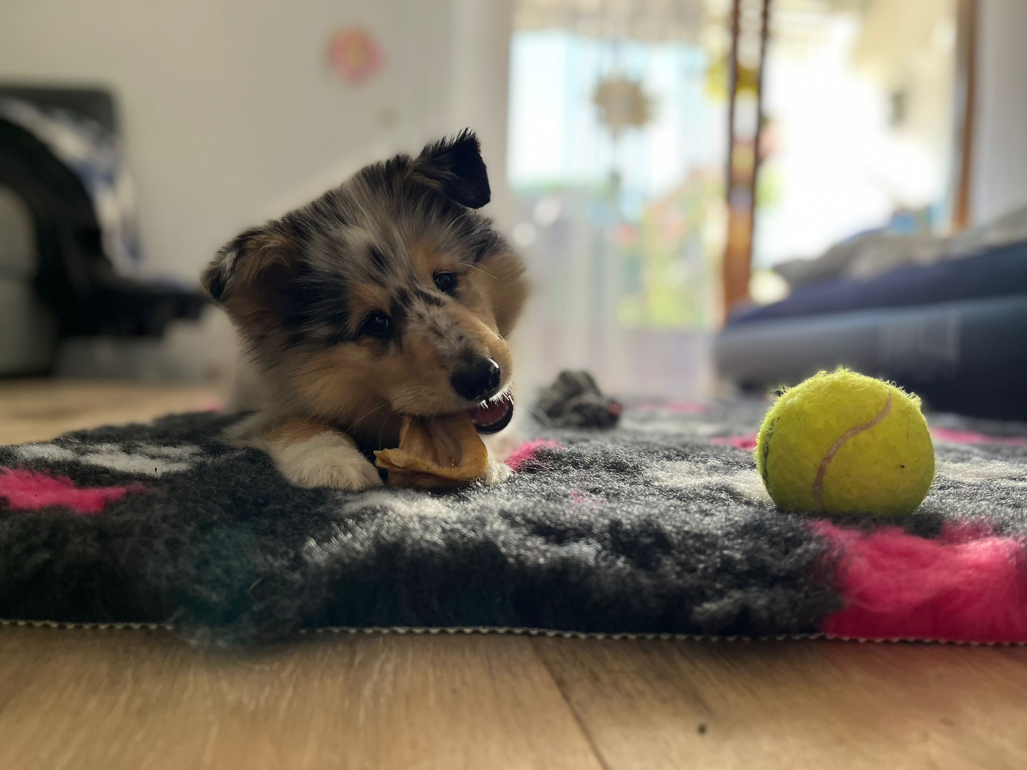 Juna im neuen Zuhause 