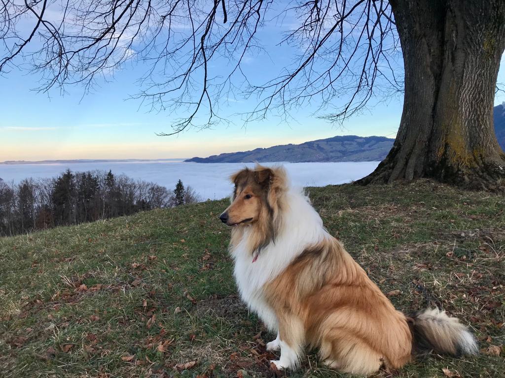 Eddie mit ca. 9 Monaten