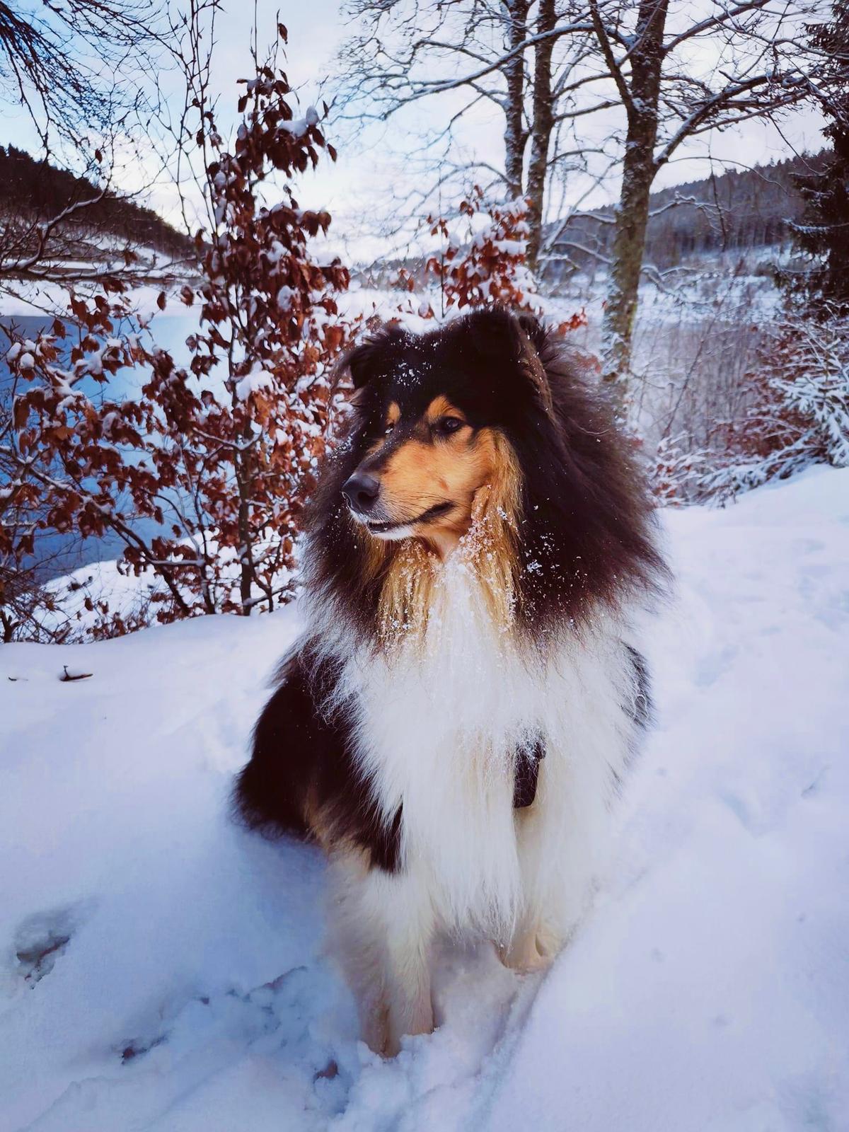 Elliot mit 3 Jahren