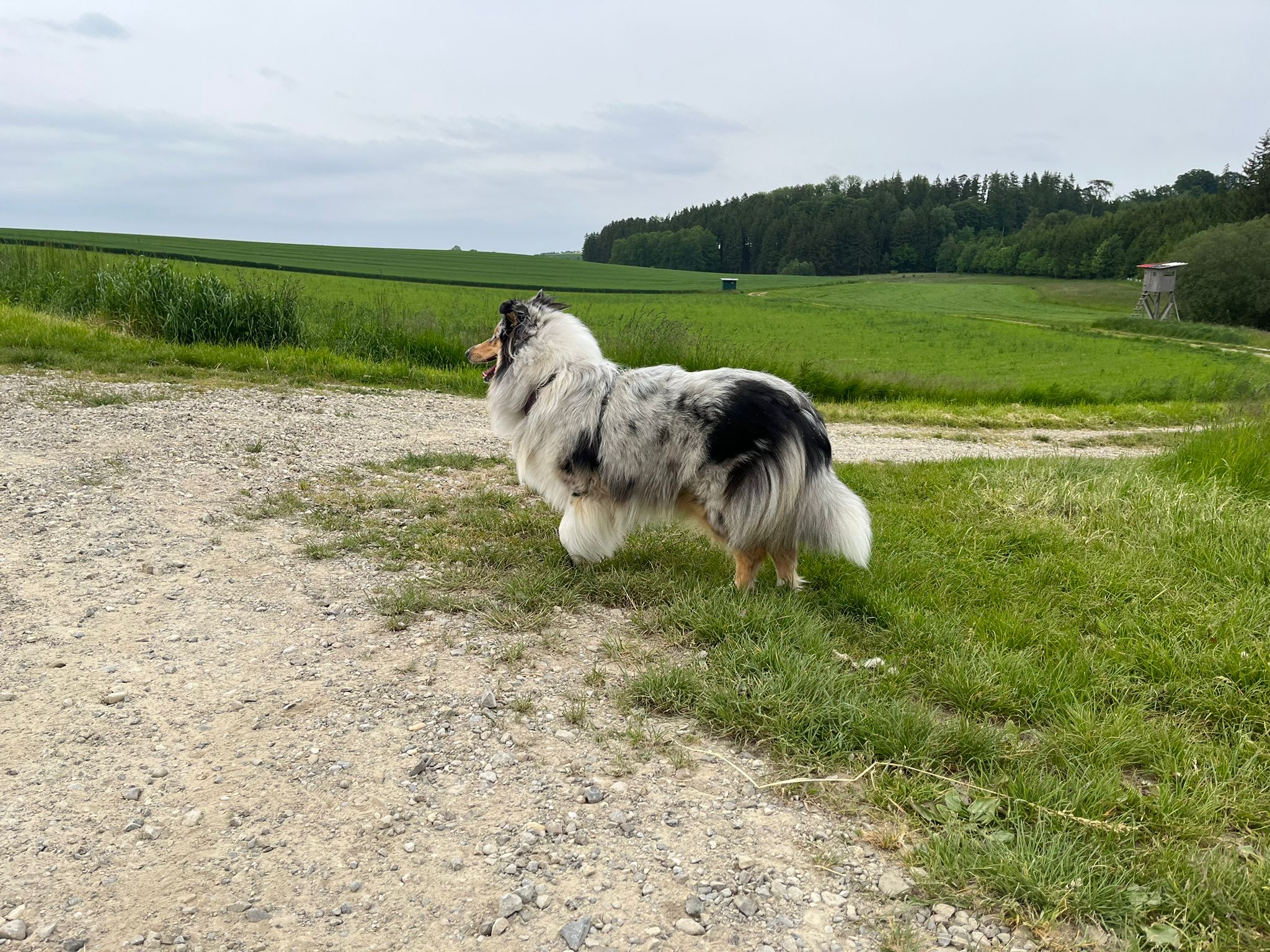 Juna mit 1nem Jahr 