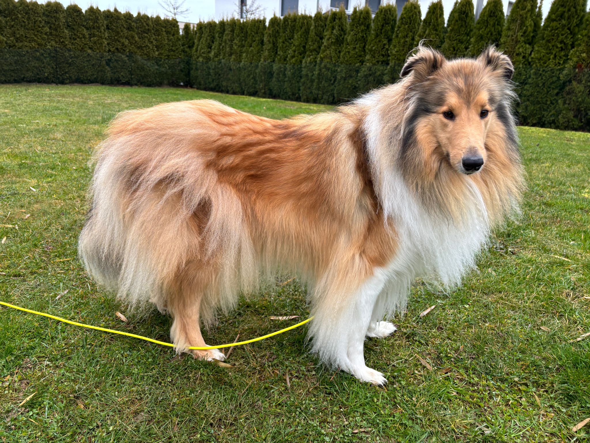 Ilana mit 4 Jahren 