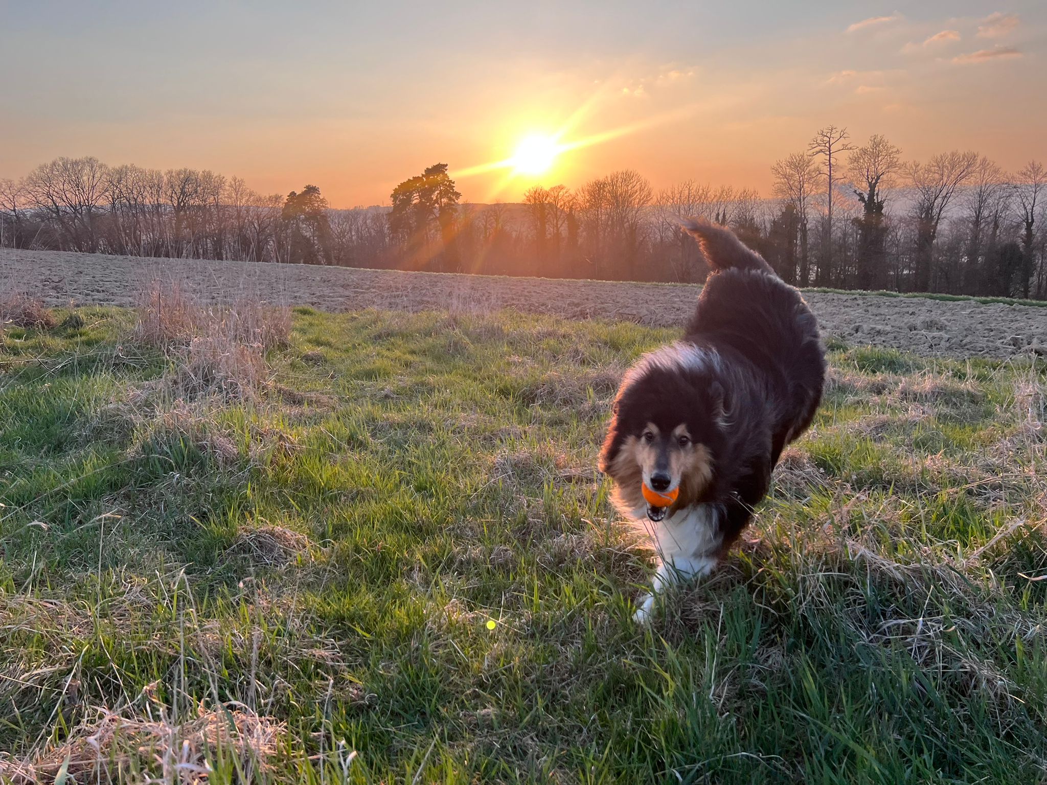 Elliot mit 7 Jahren 