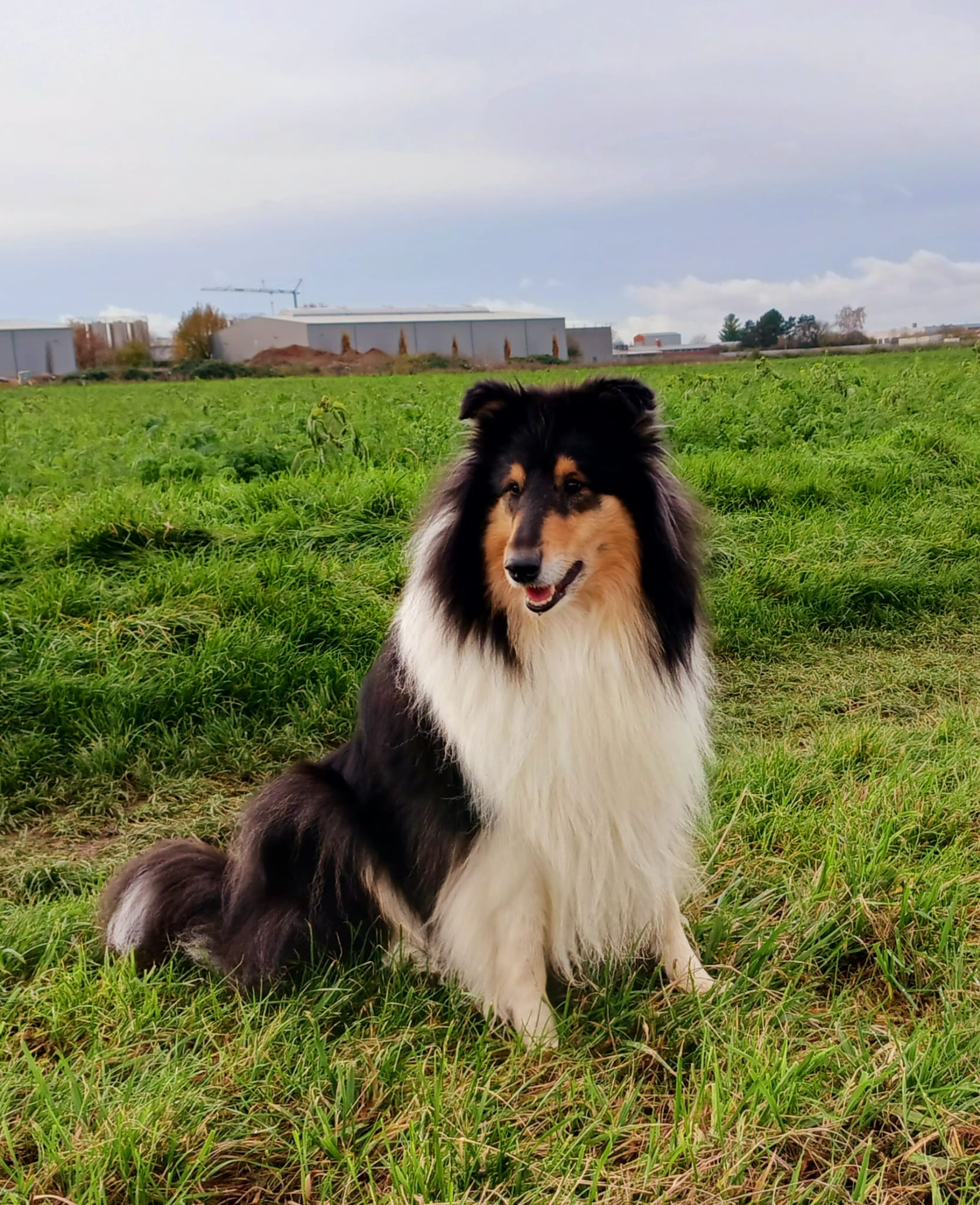 Ginny mit 4 Jahren 