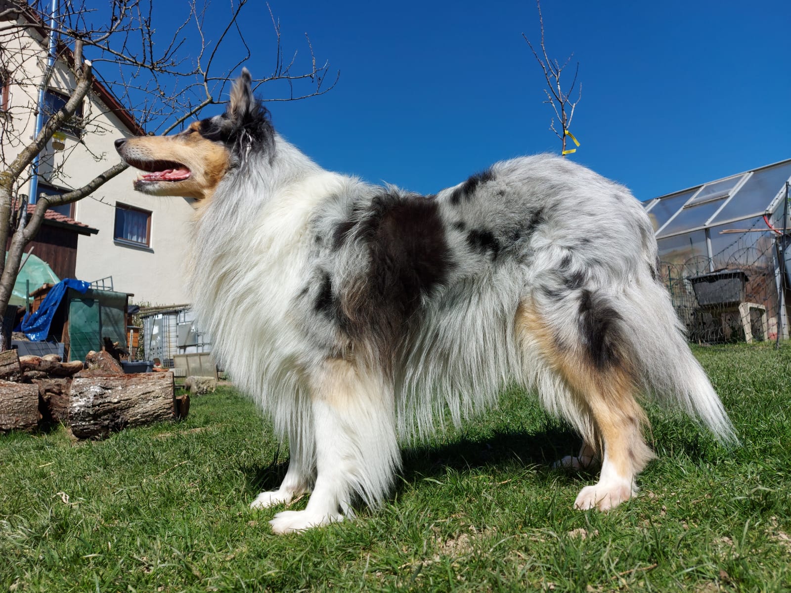 Conny mit 7 Jahren 