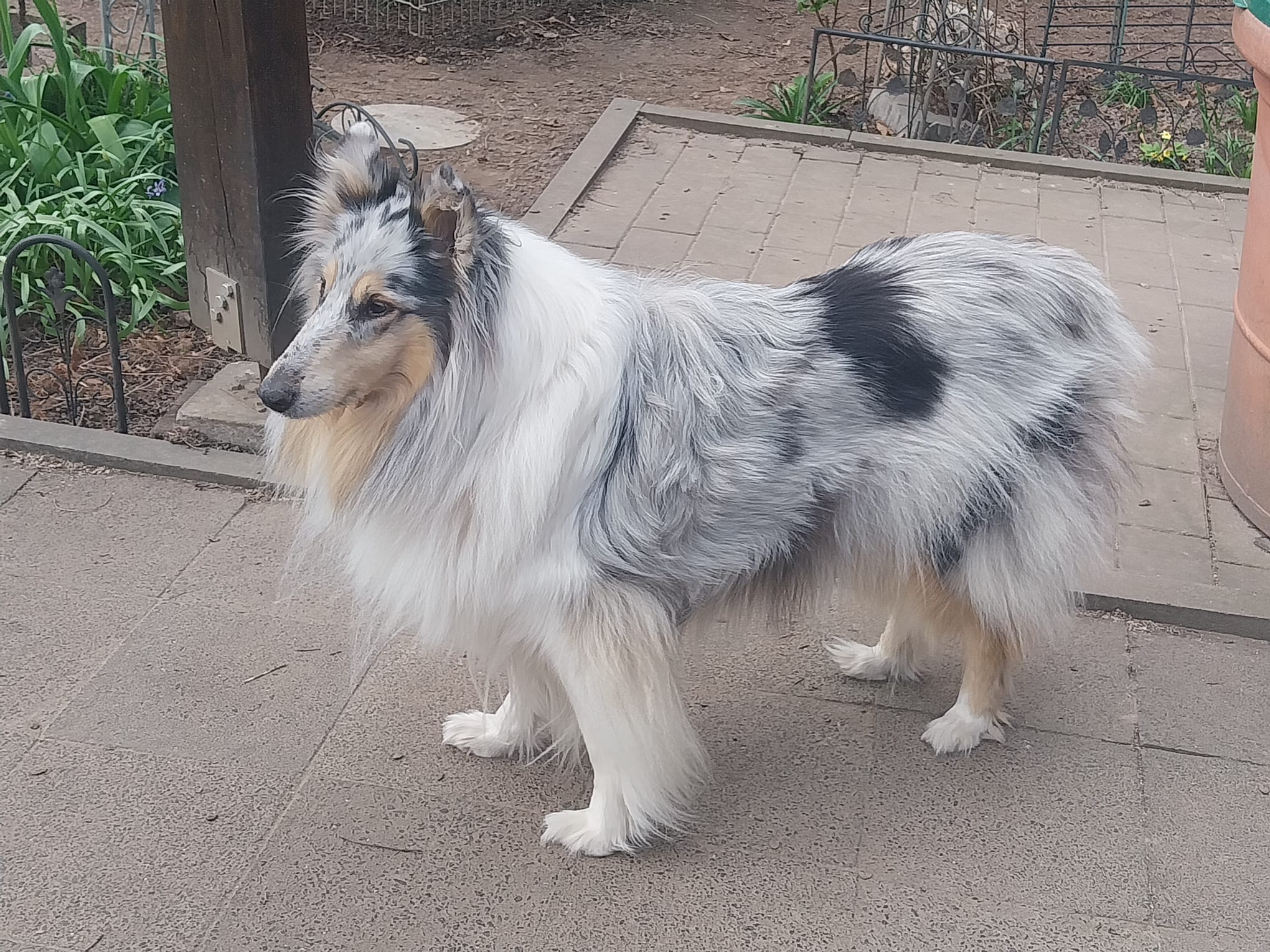 Cindy mit 8 Jahren 