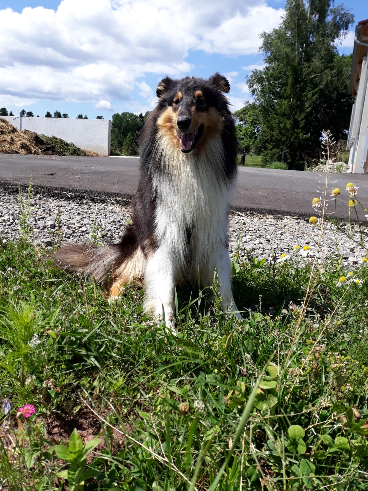 Chilly-Jo mit 2 Jahren