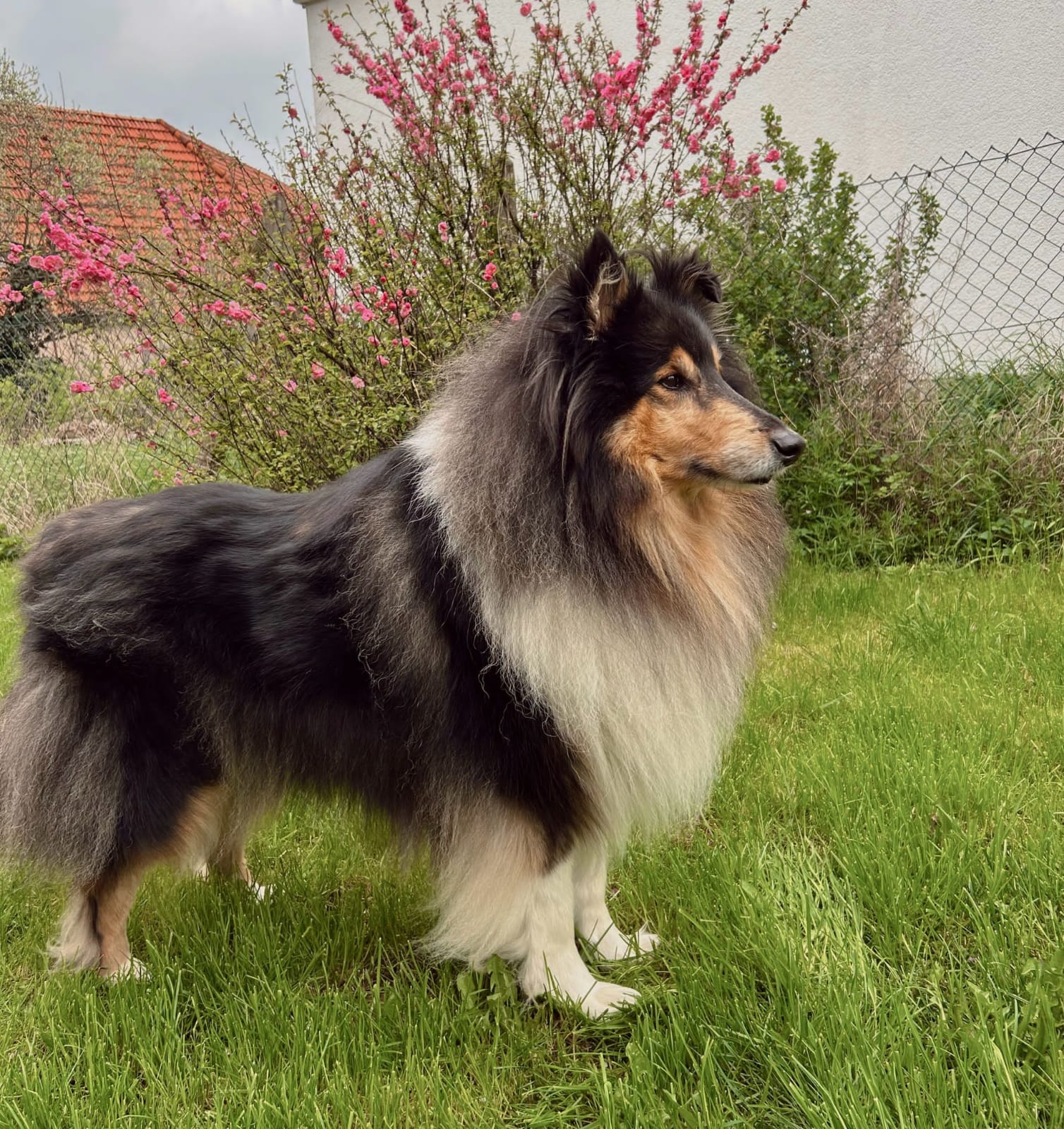 Alvin mit 9 Jahren 