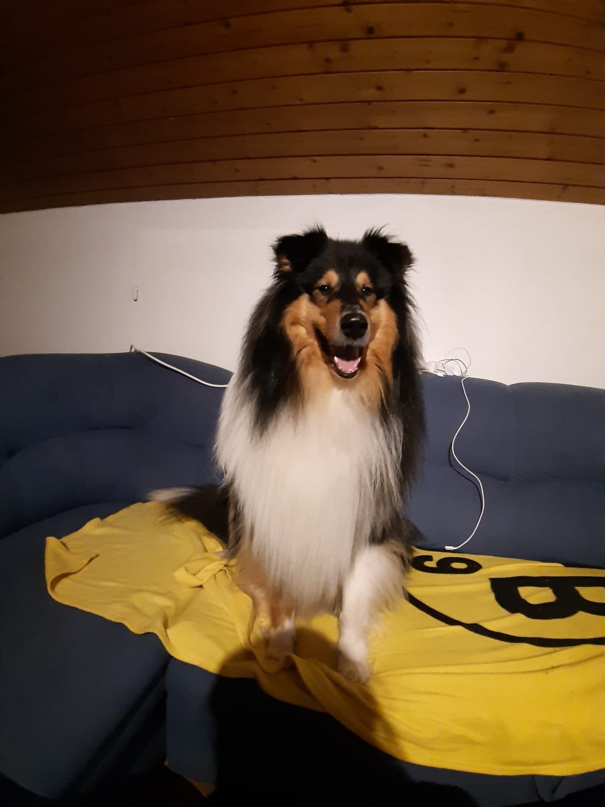 Ernie mit 2 Jahren