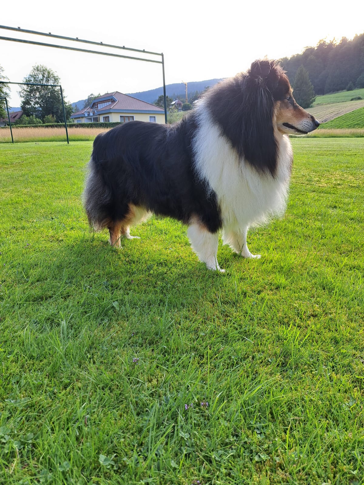 Bea mit 7 Jahren 