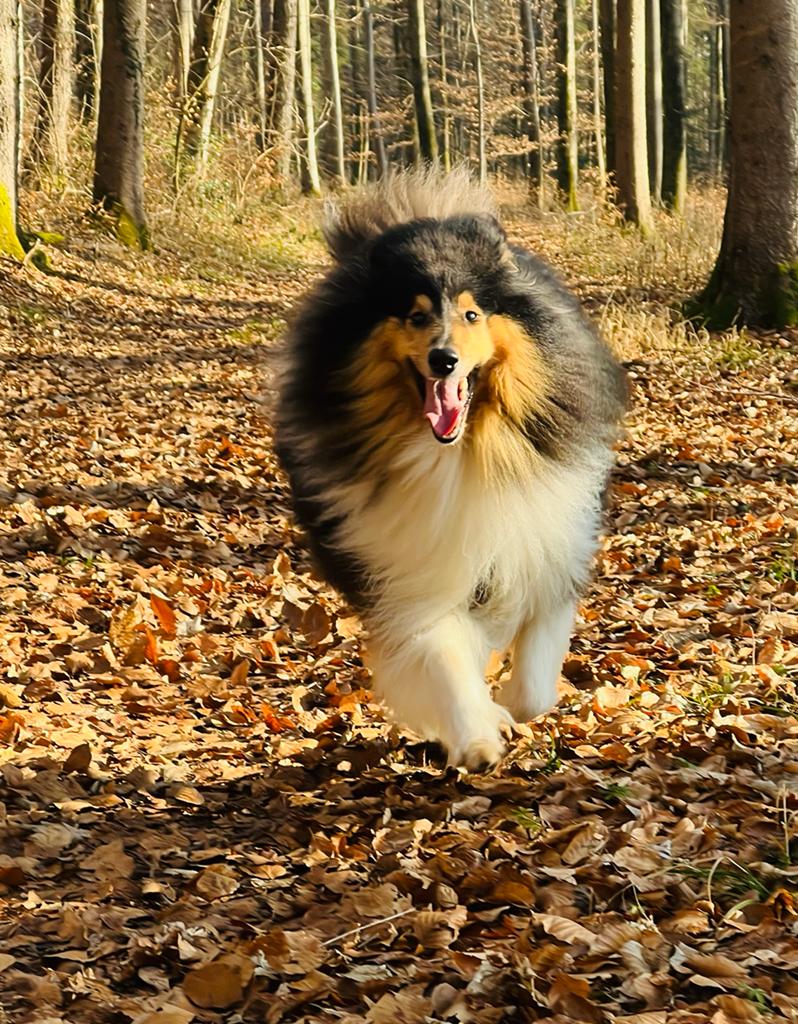 Elliot mit 4 Jahren 