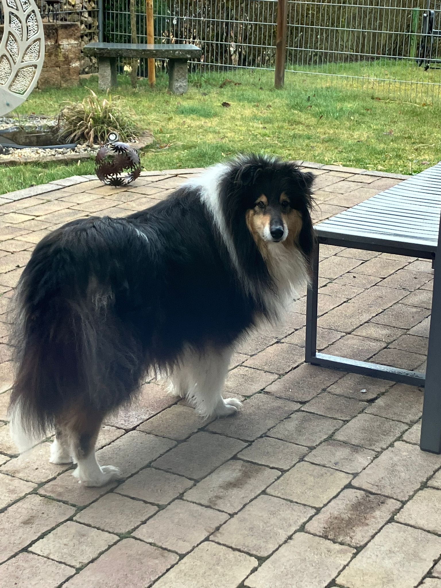 Enya mit 5 Jahren 