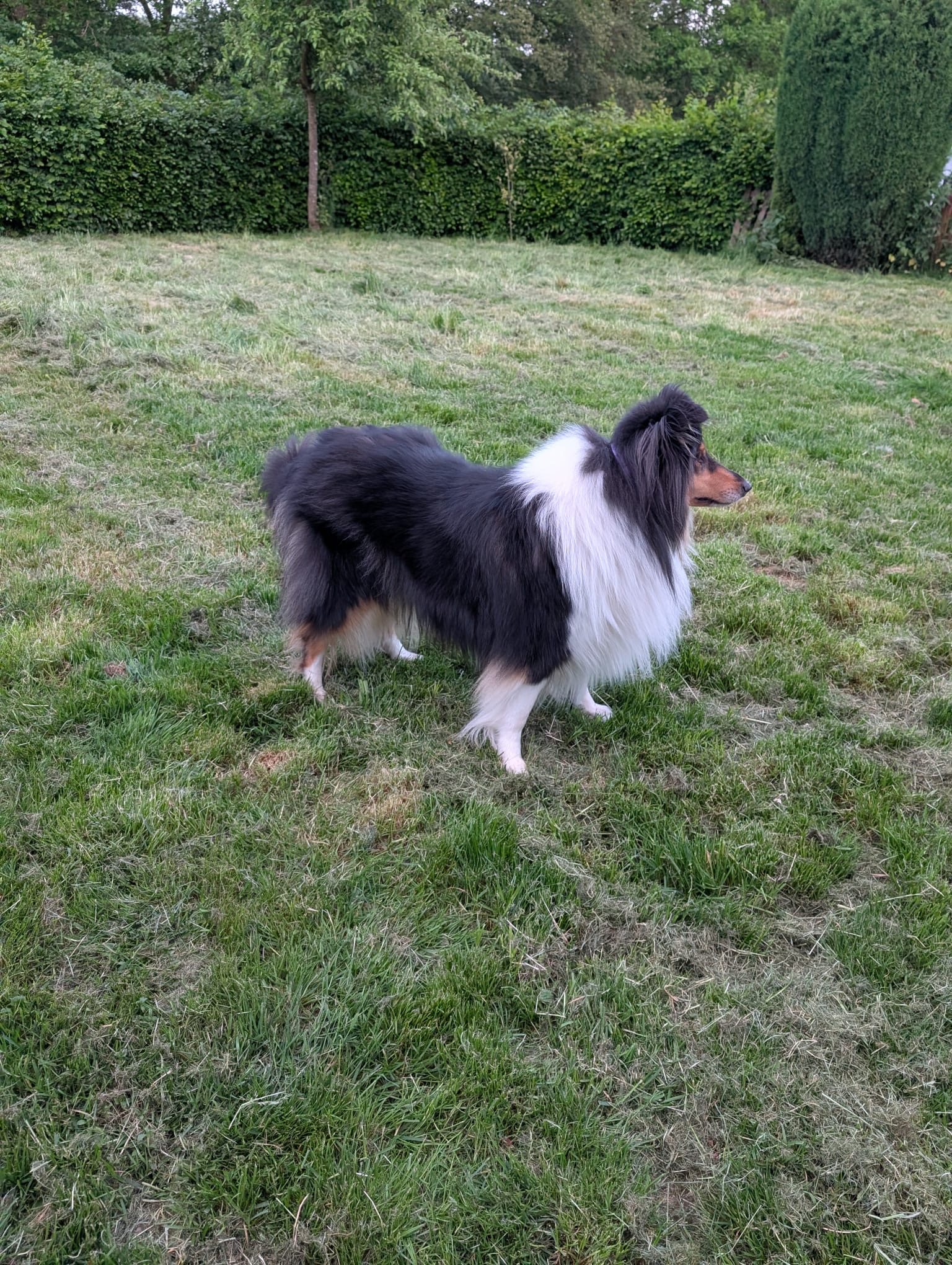 Jeany mit 4 Jahren 